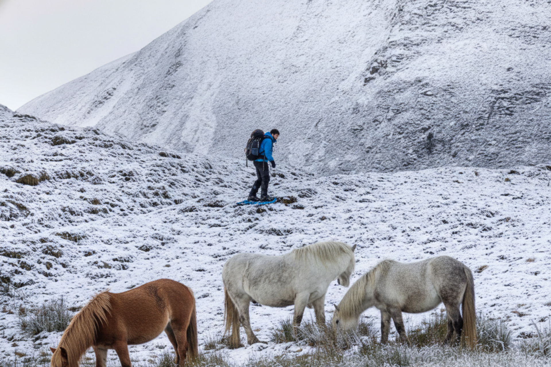 Winter in the Scottish Highlands